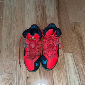Lebron 11s